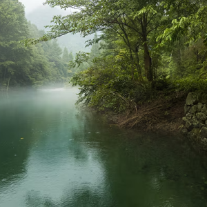 A quiet, misty river with trees at the bank