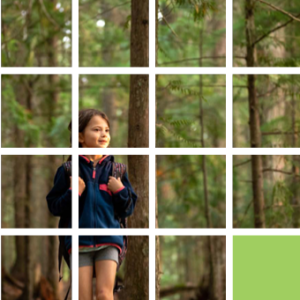 24 block grid creates a photo of a child hiking through a forest