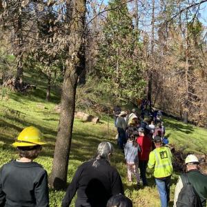 a group of volunteers wearing hard hats walk through a forest