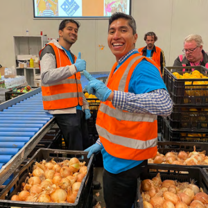Volunteers with bins of onions, giving thumbs-up to the camera.