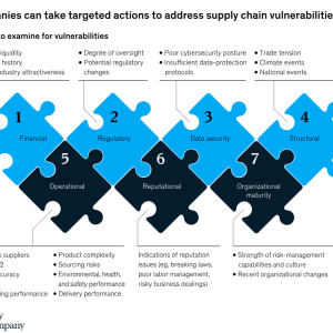Info graphic "Companies can take targeted actions to address supply chain vulnerabilities. 7 categories with action steps.