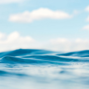 water fills the bottom of the image and a bright cloudy sky at the top