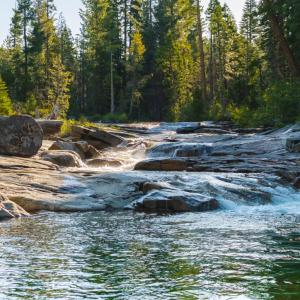 Small waterfall on a river in a wooded area.