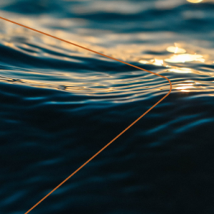 dark waves