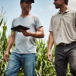Two people in a field of crops, one with a tablet.