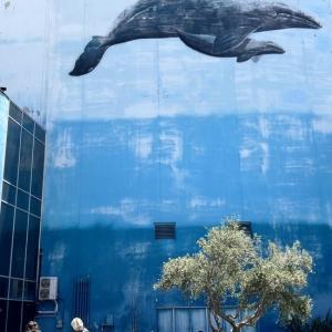 A whale painted on an exterior wall of a building 
