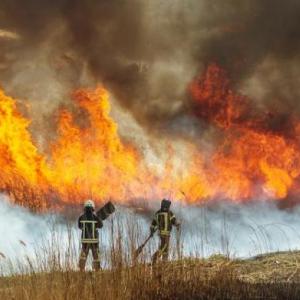 Four firefighters fighting a wildfire