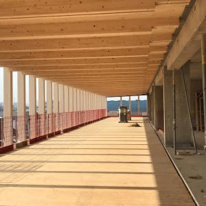 A pathway with a wooden roof
