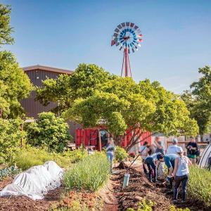 people working in a large garden, a small greenhouse to the right. A large weather vane in front.