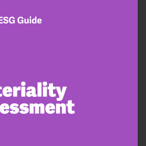 Interactive ESG Guide: Materiality Assessment by Workiva
