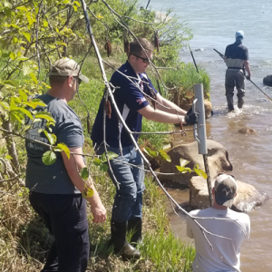team working by the river