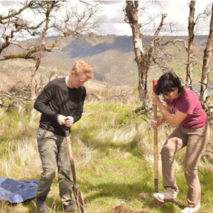 two people digging in a field