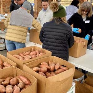 Volunteers sorting and packing yams.