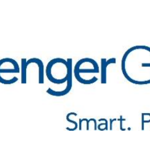 Zenger group logo