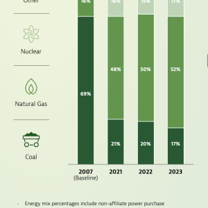 annual energy mix for electric generation