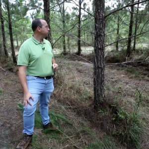Man standing in forest