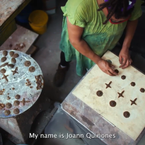 Joann Quinones working