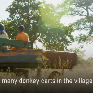 Image of 2 men sitting on a donkey cart