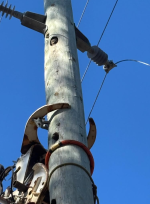Powerlines 
