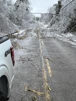 Downed trees in road from ice storm