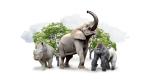 Illustration of a rhino, elephant and gorilla