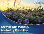 Covia's report cover