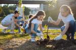 people planting plants