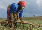 Justine is part of Action Against Hunger’s SIDA project which has helped her to access land, seed, and tools to farm her onions.