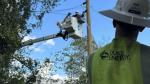 Lineworker in cherry picker fixing the power