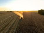 harvester