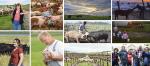 Niman Ranch farmers