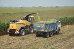 Forage Harvester