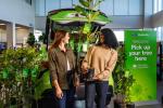 Two people pick up a tree