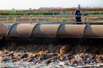Co-digestion Food Organics Wastewater