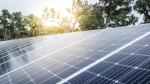 Solar panels in front of trees and a sunset