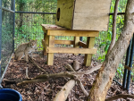 Recycled Pallets in animal cage