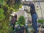 people working with plants