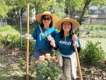 volunteers around a plant