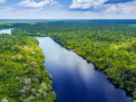 A calm river running through a flat landscape