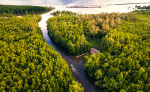 River delta aerial view