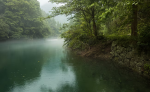 A quiet, misty river with trees at the bank