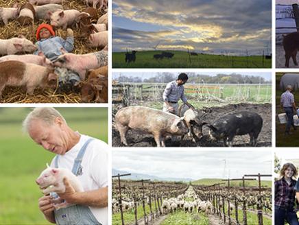 Niman Ranch farmers