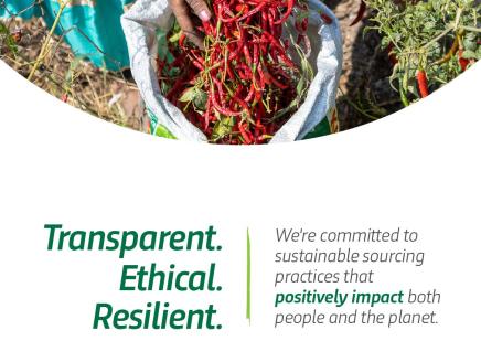 Harvesting peppers. "Transparent. Ethical. Resilient. We're committed to sustainable sourcing practices that positively impact both people and the planet."
