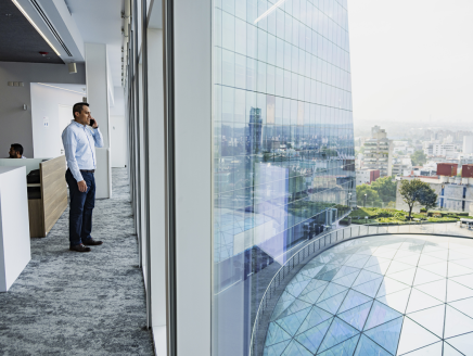 Someone in an office on a cellphone, looking out a window