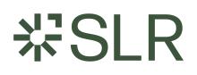 SLR logo