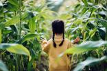 young girl navigates through stalks of foliage
