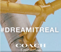 "#DREMITREAL Coach Foundation" gold painted pipes on a light blue background behind the words.