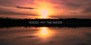 "Voices from the water" on a background of an expanse of water reflecting trees on a horizon at sunset.