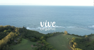 vive organic with ocean background