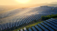 Aerial view of a large solar field.